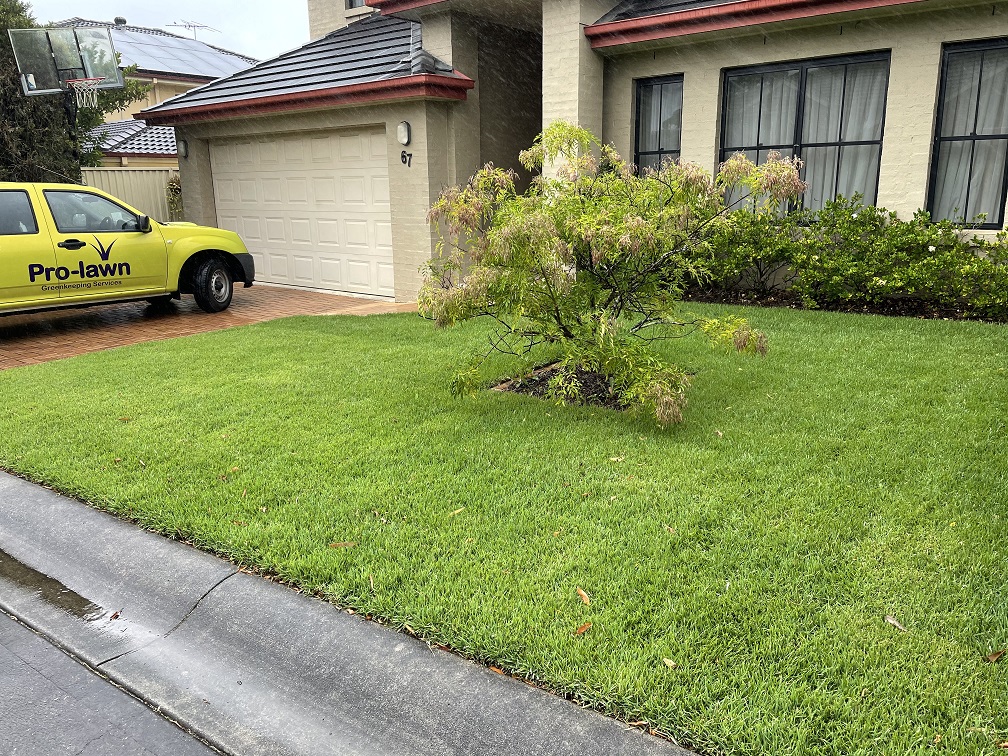 Asquith3 six weeks later