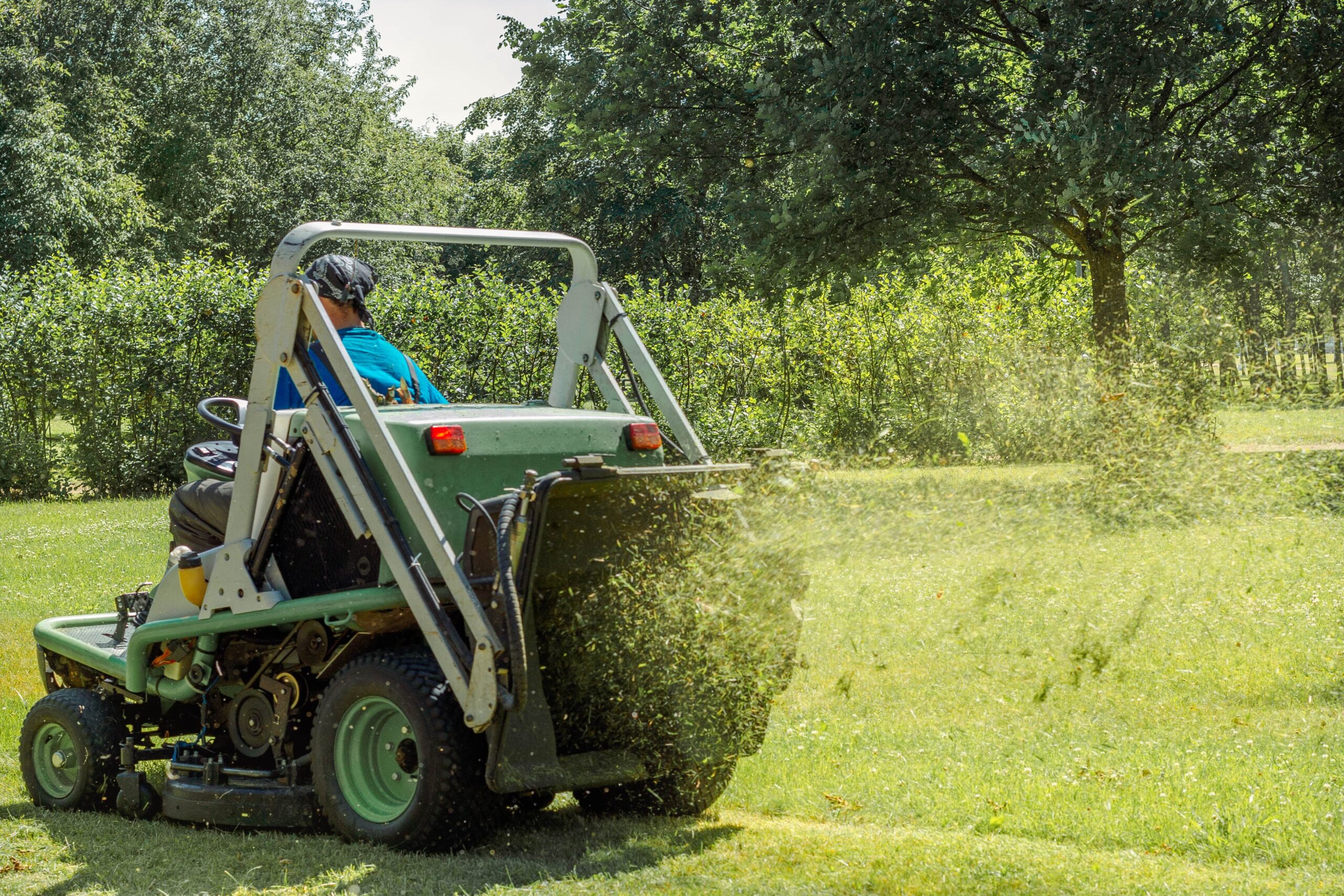 professional gardener cutting green grass on lawn 2025 03 11 03 50 33 utc min scaled
